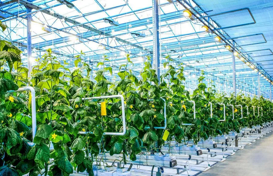 La coordination des débitmètres avec les armoires de contrôle quantitatif et les enregistreurs de données en irrigation agricole